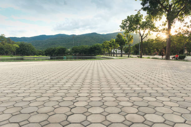 Best Concrete Paver Driveway  in Winslow, AZ