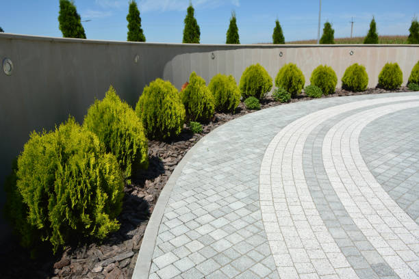 Best Decorative Driveway Pavers  in Winslow, AZ