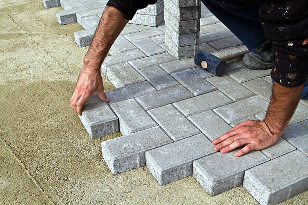 Best Custom Driveway Pavers  in Winslow, AZ